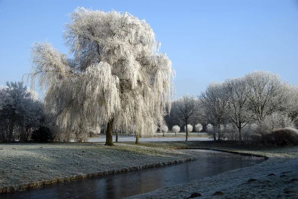 Zima v holand — Stock fotografie