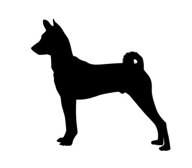 Puppy vector clipart