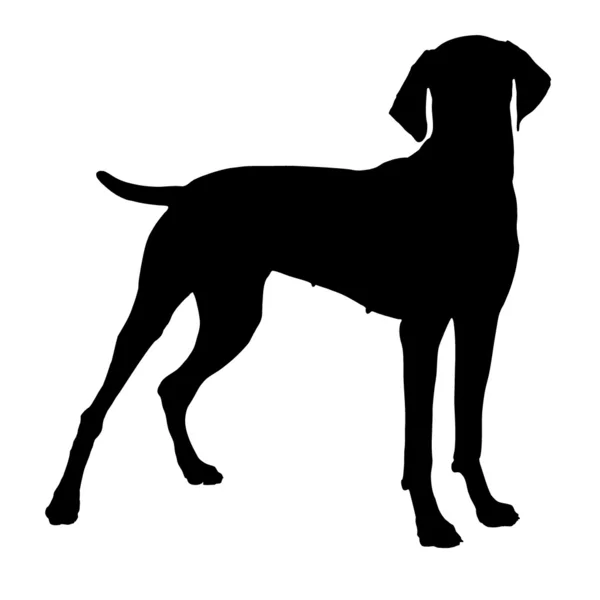 Vektor kutya — Stock Vector