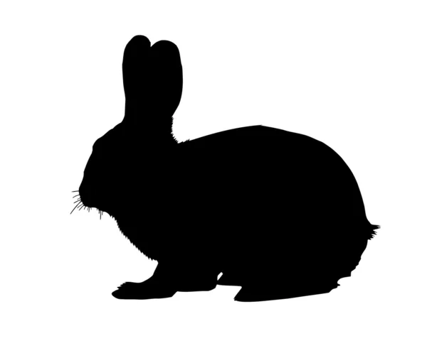 兔子矢量 免版税图库插图