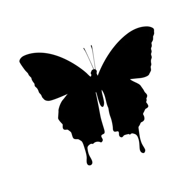 Résumé Papillon Illustration De Stock