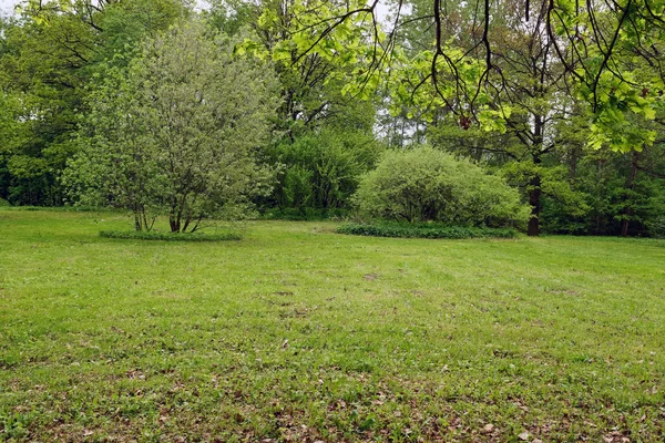 Trawnik w parku. — Zdjęcie stockowe