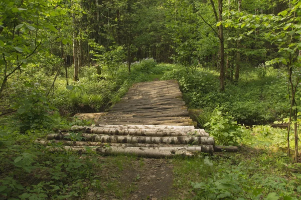 Drewniany most w drewnie. — Zdjęcie stockowe