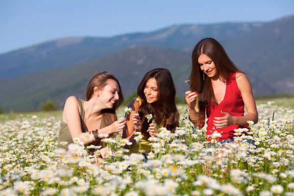 Girls on the flower meadow — Stok fotoğraf