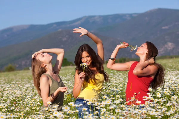 Девушки на цветочном лугу — стоковое фото