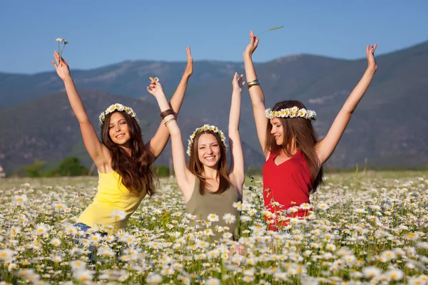 Девушки на цветочном лугу — стоковое фото