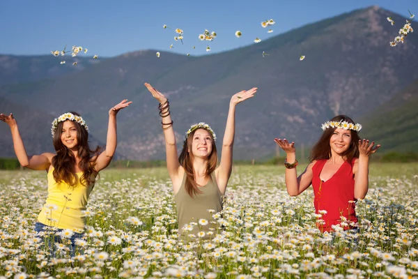Chicas en el prado de flores —  Fotos de Stock
