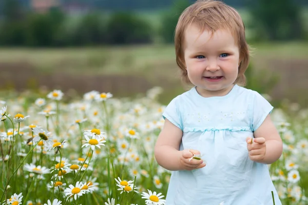 甘菊草地上的小女孩 — 图库照片