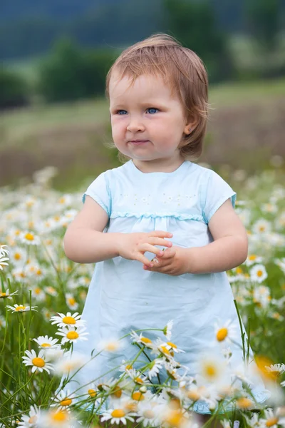 Little girl on the camomile meadow — Stock Photo, Image
