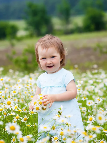 Little girl on the camomile meadow — Stock Photo, Image