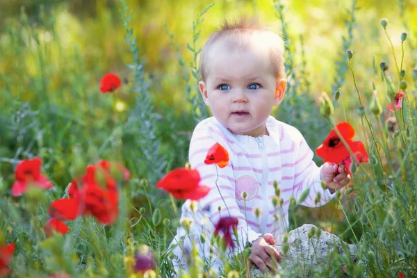 Child on the meadow — Stock Photo, Image