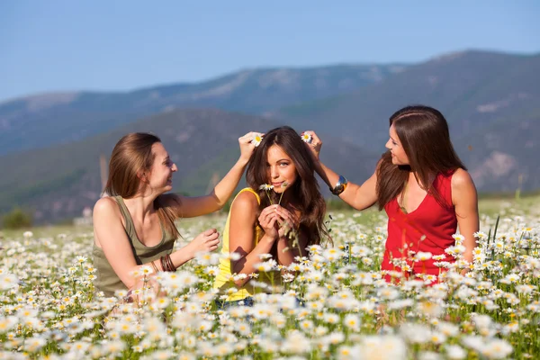 Tres chicas en el campo de manzanilla —  Fotos de Stock