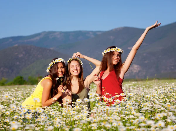 Drei Mädchen auf dem Kamillenfeld — Stockfoto