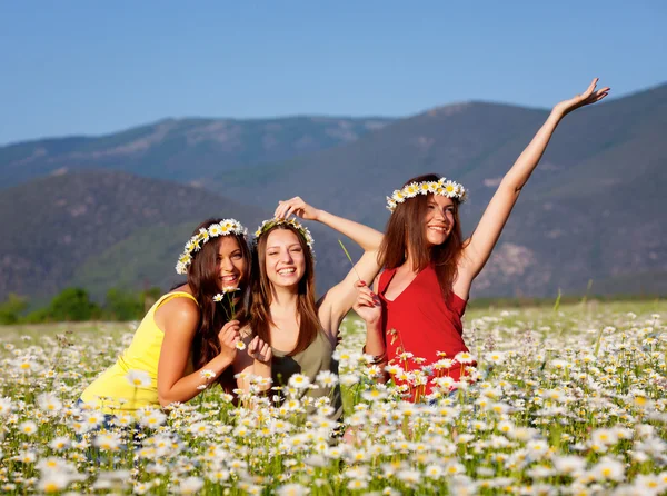 Three girls on camomile field — Stock Photo, Image