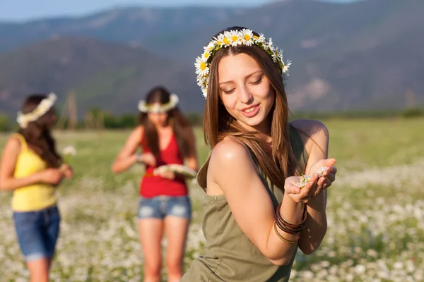 Drei Mädchen auf dem Kamillenfeld — Stockfoto