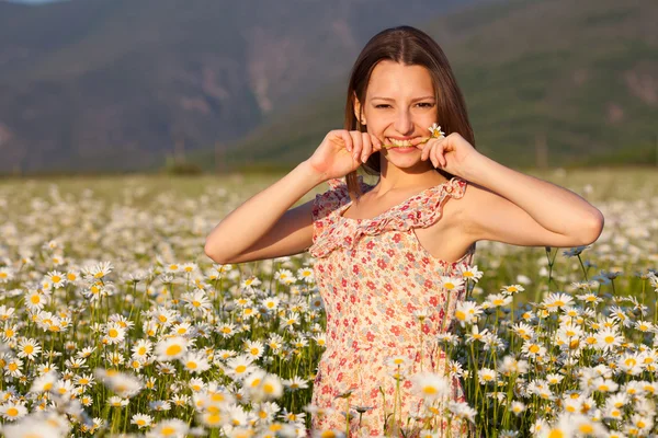 Girl on camomile field — Stock Photo, Image
