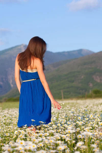 Girl on camomile field — Stock Photo, Image