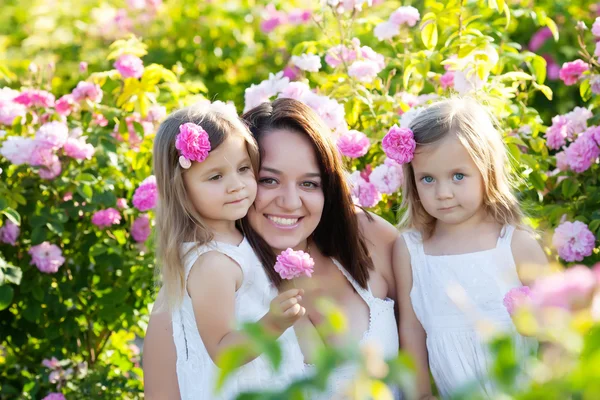Family in rose flowers — Stock Photo, Image