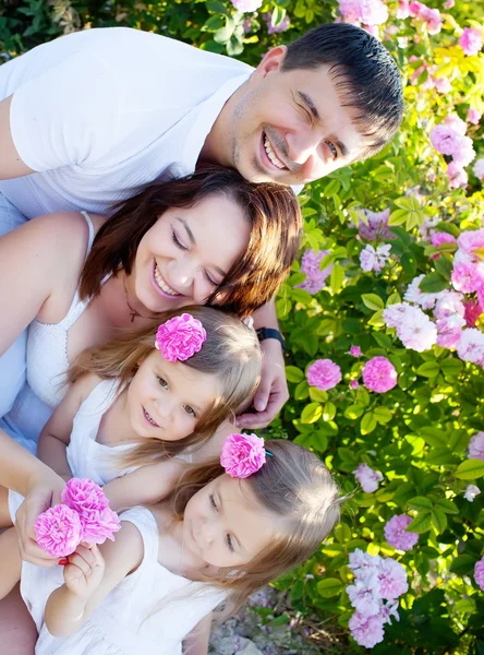 Familia en flores de rosa — Foto de Stock