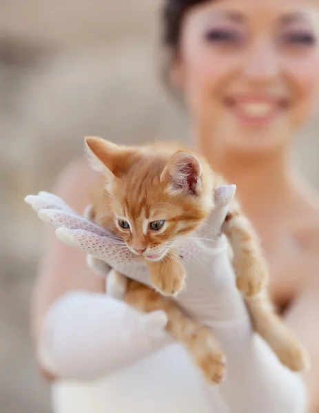 Sposa con gattino — Foto Stock