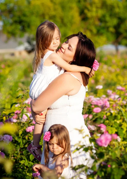 ローズの花の家族 — ストック写真