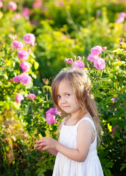 Κορίτσι στη φυτεία με τριανταφυλλιές — Φωτογραφία Αρχείου