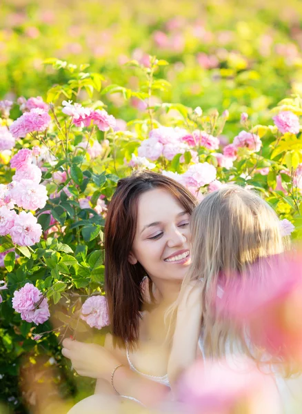Rodina v růžové květy — Stock fotografie