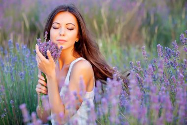 Lavender field clipart