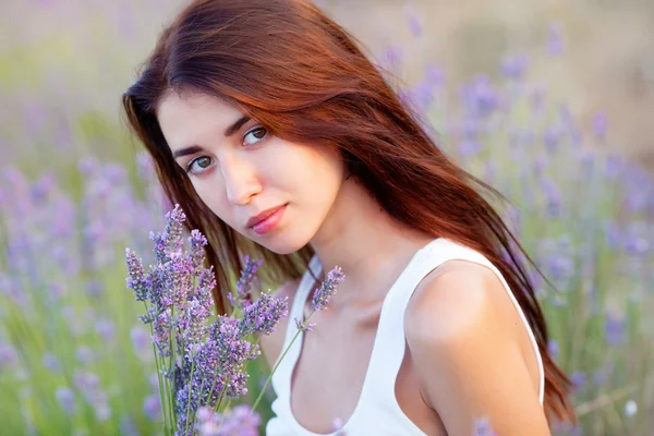 Lavendelfeld — Stockfoto