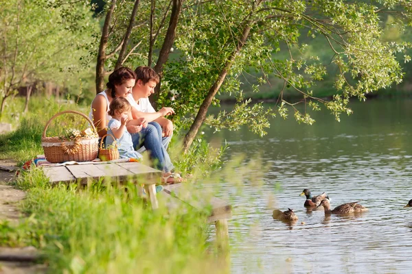 Familjen på picknick vid sjön Royaltyfria Stockbilder