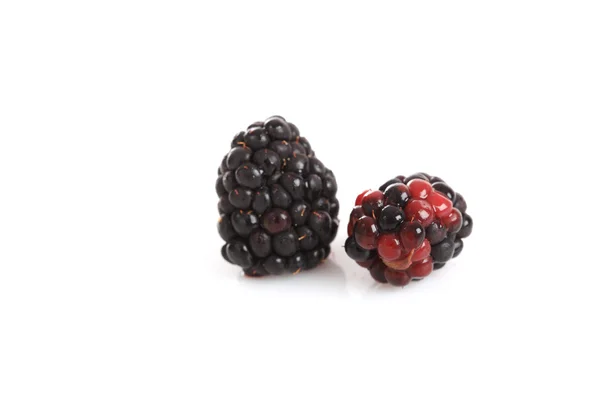 黑莓 免版税图库图片
