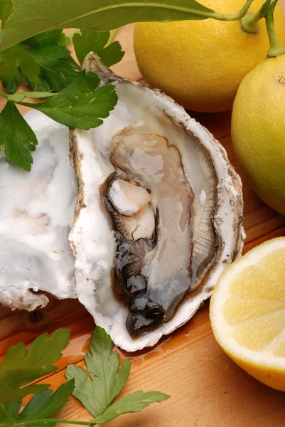 Oyster, lemon and parsley — Stock Photo, Image