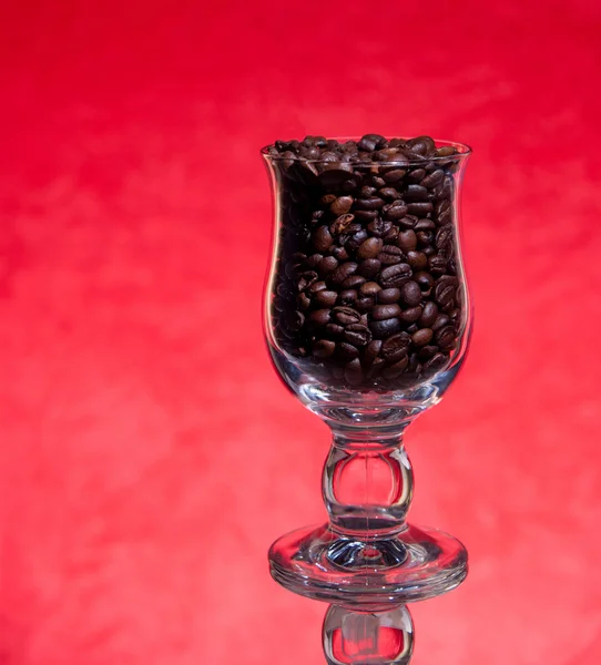 Grains of black roasted coffee in cup on red background — Stock Photo, Image