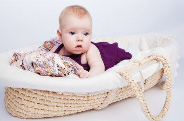 Cute little baby fashion lies in the basket clipart