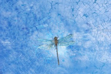 Dragonfly through splitting glass clipart