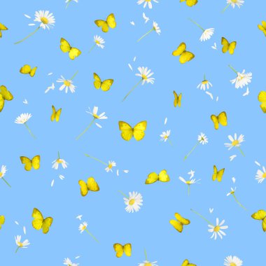 Seamless butteflies and daisies clipart