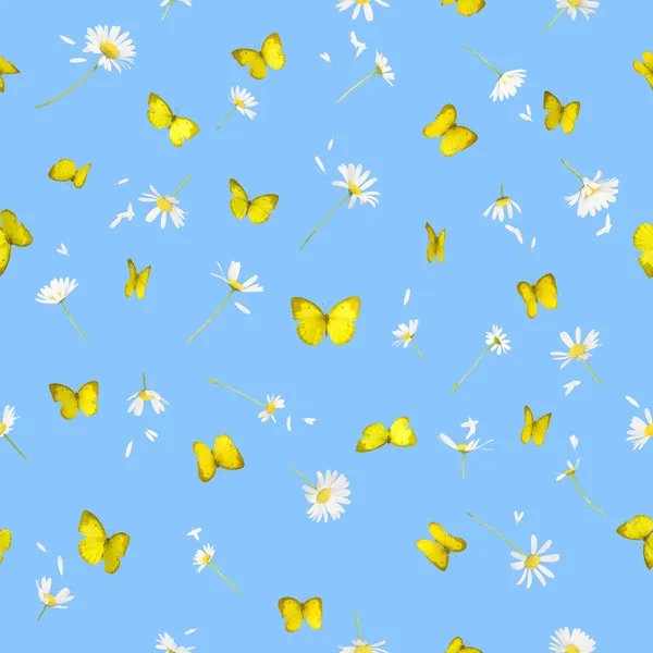 Naadloze butteflies en madeliefjes — Stockfoto