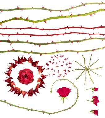 Rose thorns collection clipart