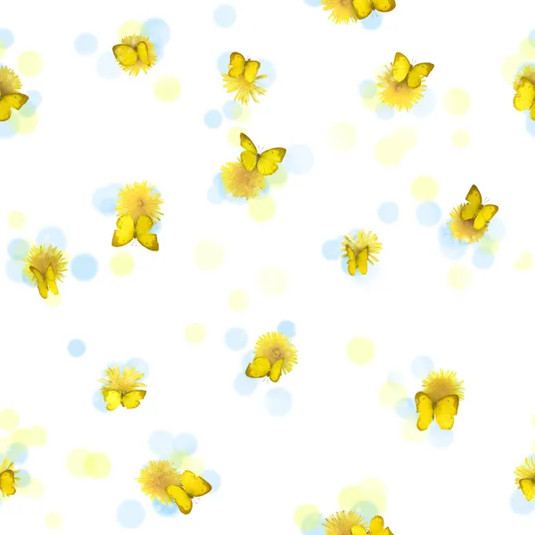 Dikişsiz dandelions ve kelebekler — Stok fotoğraf