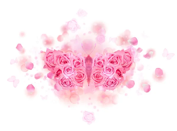 粉红玫瑰蝴蝶芽 — 图库照片