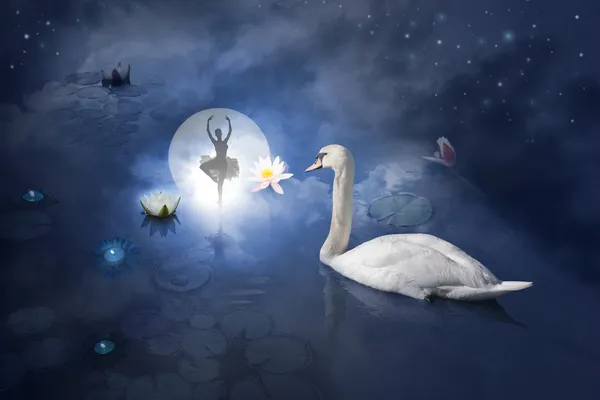 Лебедь с балериной на луне — стоковое фото