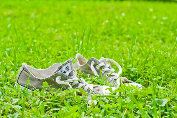 Çim spor ayakkabı — Stok fotoğraf
