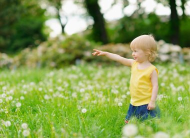 kopyalama alanı gösteren dandelions alanı üzerinde kız bebek