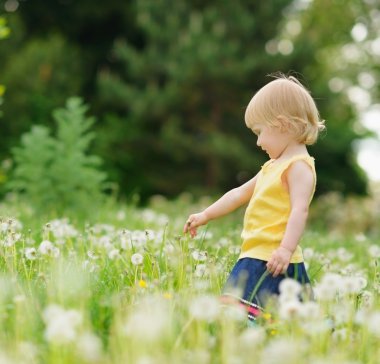 Baby girl playing on dandelions field clipart