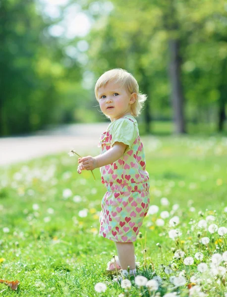 Kid on dandelions field — Stock Photo, Image