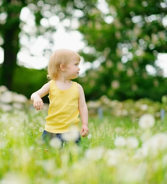 Baby girl on dandelions field looking back — Stock Photo, Image