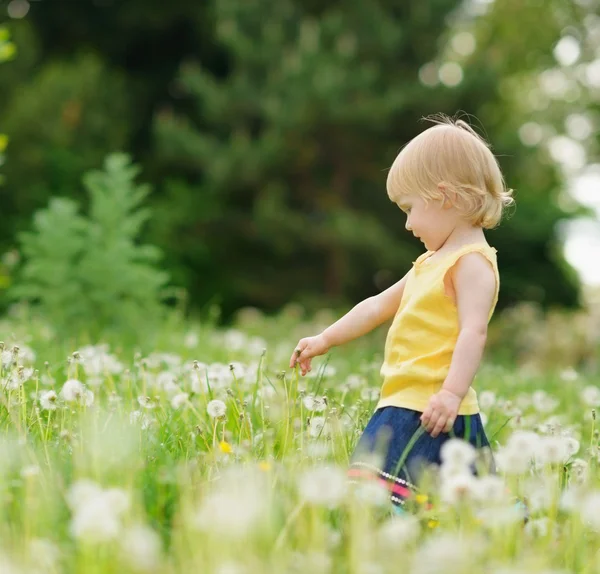 Baby girl playing on dandelions field — Stock Photo, Image