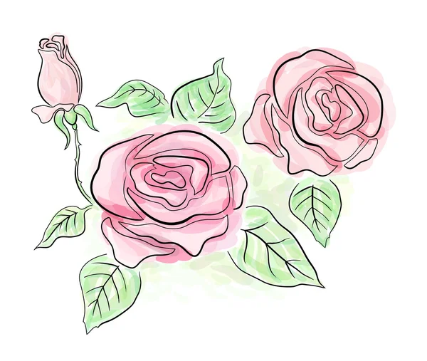 Schizzo delle rose — Foto Stock
