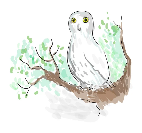 Owl sketch — Stockfoto