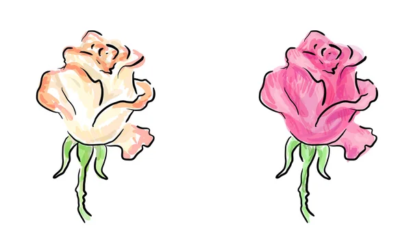 Róża szkice kolorowy — Zdjęcie stockowe